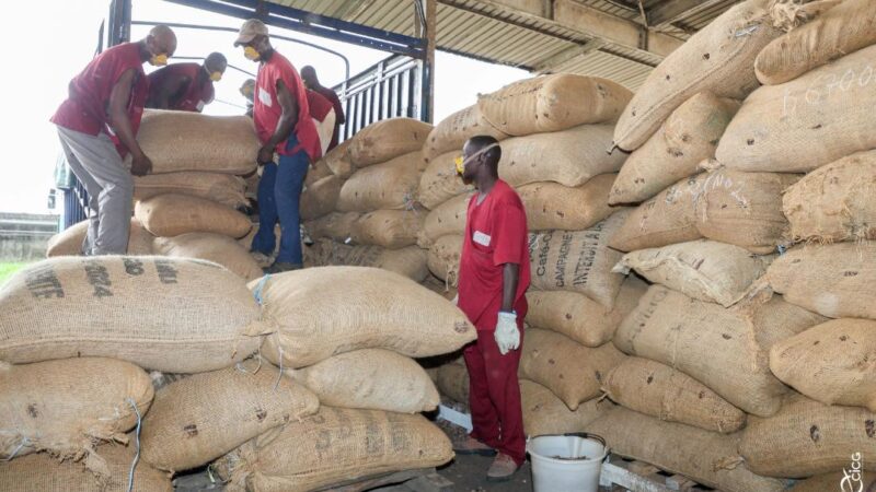 Filière cacao : le gouvernement modifie le calendrier des campagnes de vente